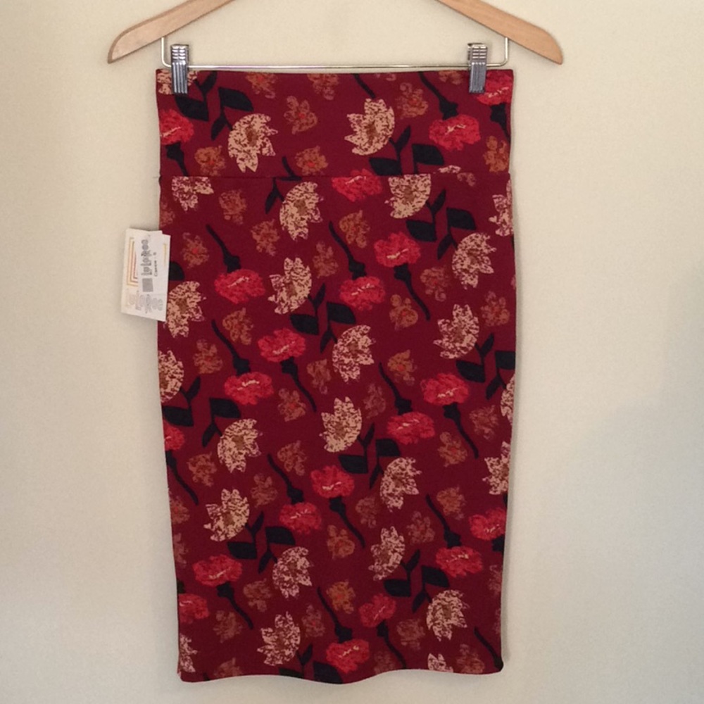 NWT LuLaRoe Cassie Size Small